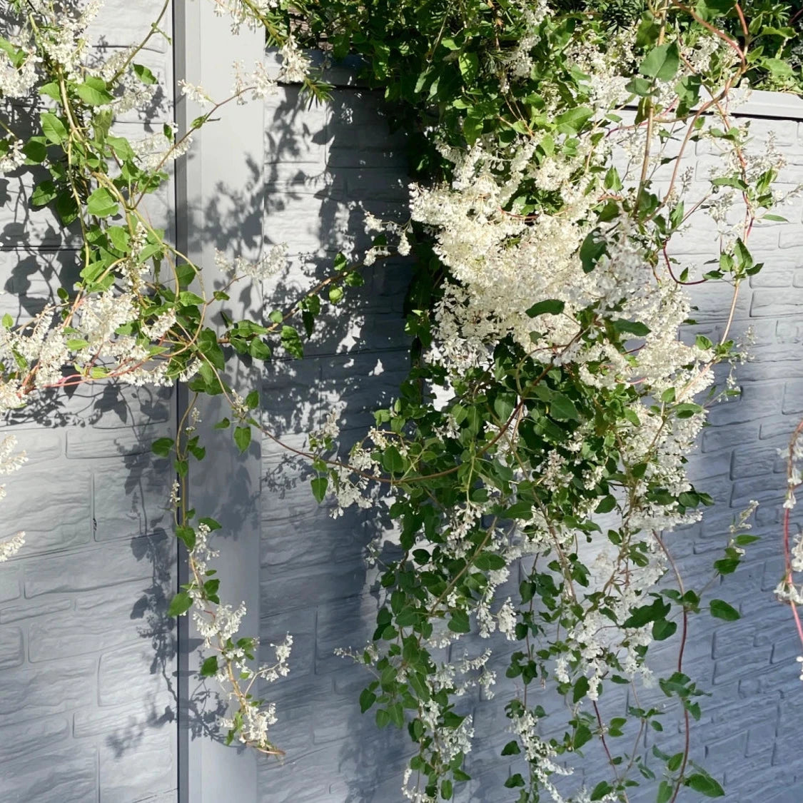 Beidseitige Betonzaunplatte Motiv Nostalgie naturgrau – Sichtschutzzaun aus Beton