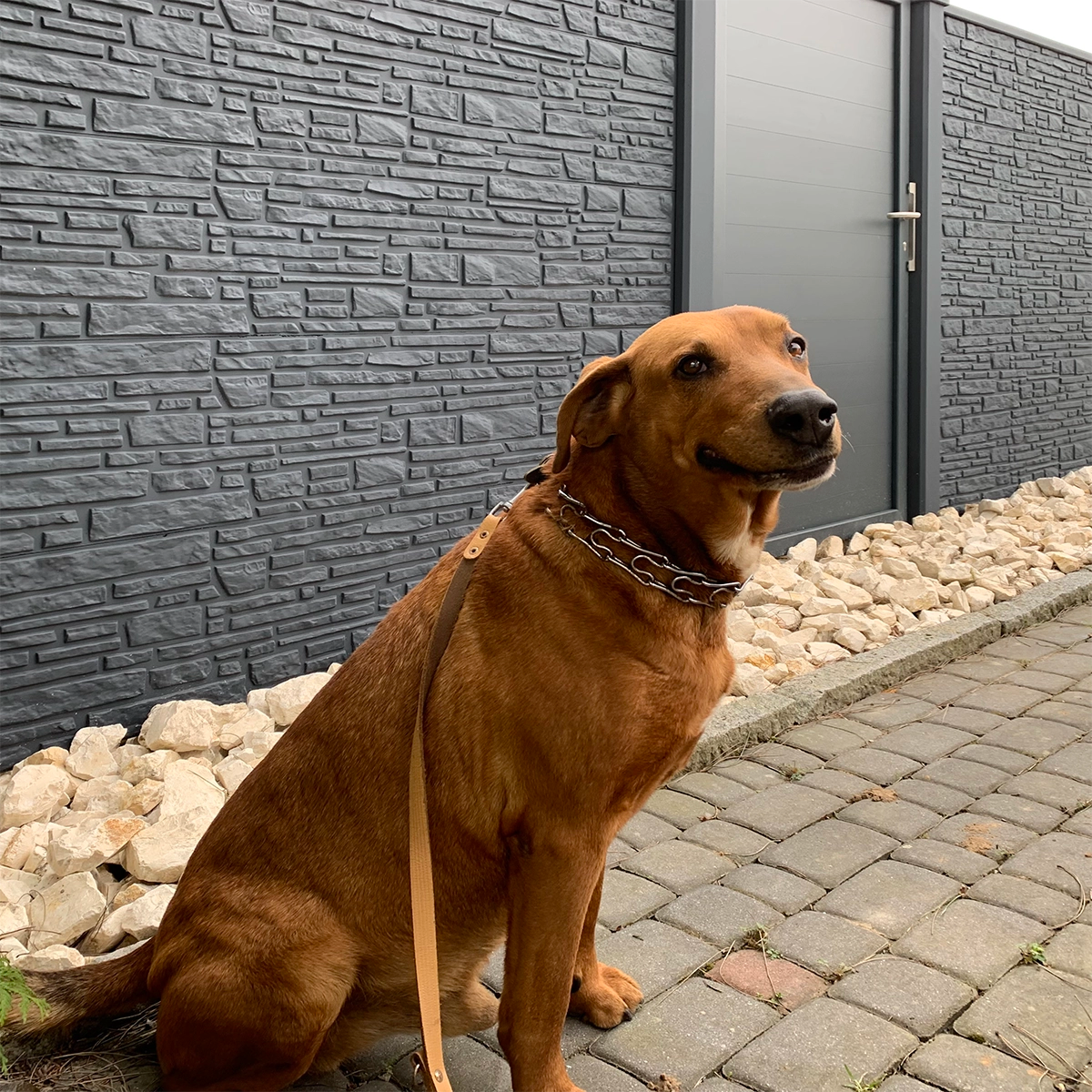 Betonzaunplatte Mosaik