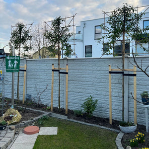 Beidseitige Betonzaunplatte Motiv Fels naturgrau – Sichtschutzzaun aus Beton