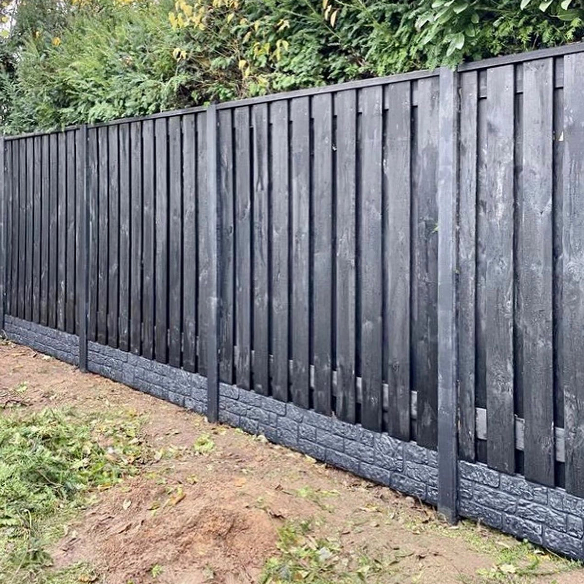 Holz-Beton - Sichtschutz - Kiefernholz Black Edition
