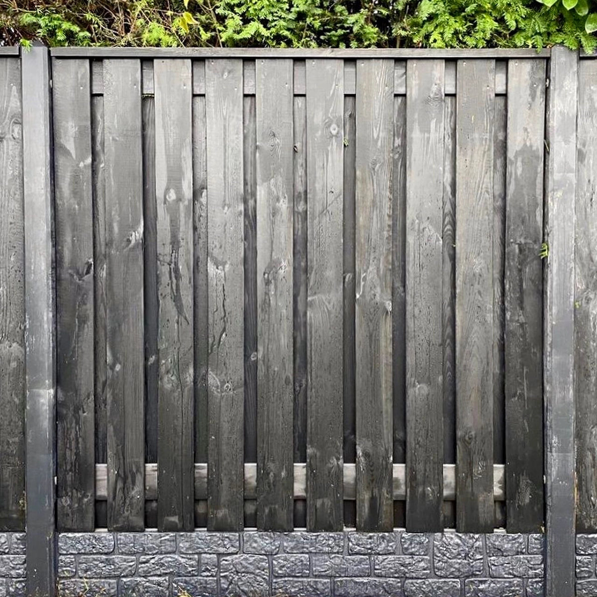 Holz-Beton - Sichtschutz - Kiefernholz Black Edition