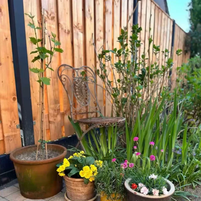 Hurra, der Frühling ist endlich da! 🌼 Perfekte Gartengestaltung mit dem Holz-Beton-Zaun 

______________
⠀
Bestellen Sie über unsere Website oder rufen Sie uns an oder schicken Sie uns eine Nachricht, um die Einzelheiten zu erfahren!

🌐 betonzaun.de
📞 02855 - 9389673
📧 office@betonzaun.de

#betonzaun #zaunfarbe #farbe #garten #gartendesign #diy #zaun #zaunbau #grün #nature #selbstgemacht #onlineshop
